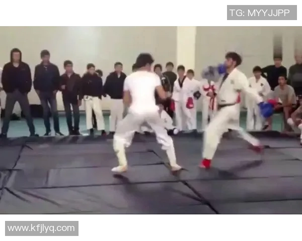 新西兰与法国在激烈对抗中战成平局双方展现出色实力与团队合作精神